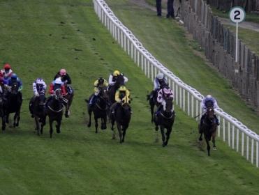 http://betting.betfair.com/horse-racing/Brighton%20Races.jpg